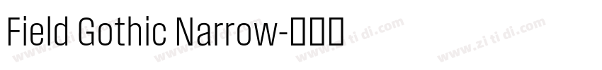 Field Gothic Narrow字体转换